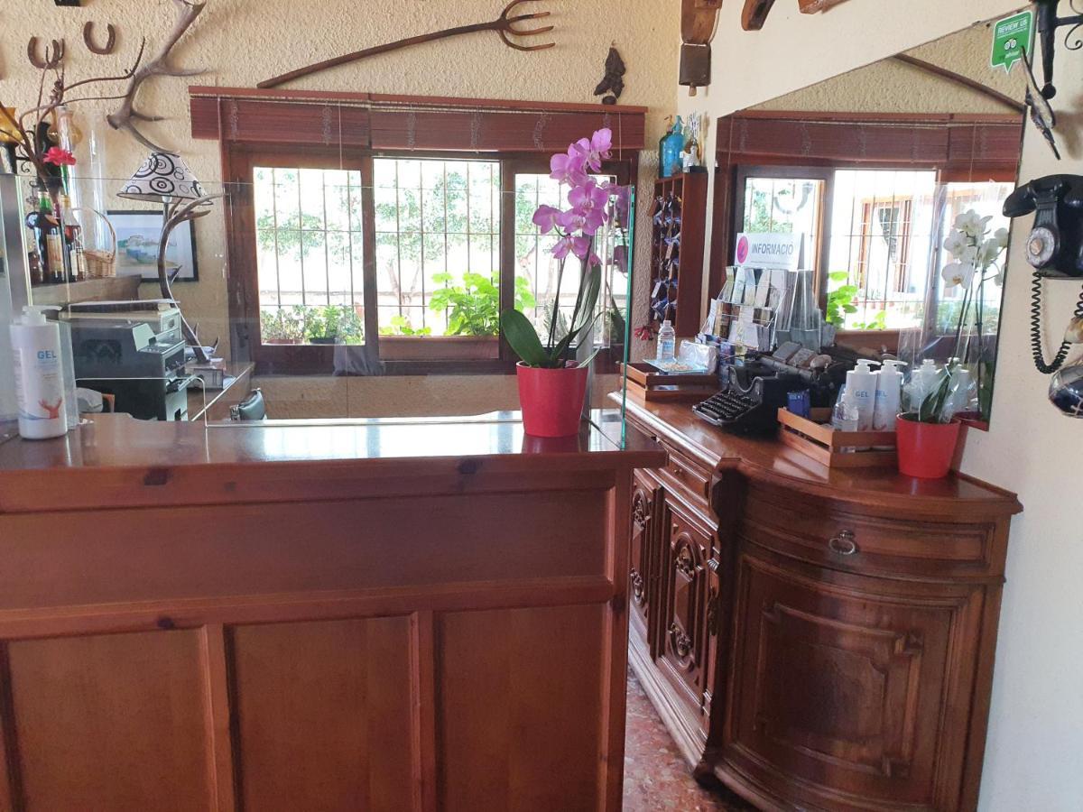 Bodegón * Peñíscola